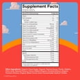 thumbnail image 6 of SmartyPants Kids Plus Multivitamin & Omega 3 Gummies with Vitamins C, D3, B12, Zinc 60 Count, 6 of 15