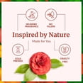thumbnail image 4 of SVA Camellia Seed Oil Organic - 4 Fl Oz – 100% Natural Cold Pressed Organic Camellia Oil - for Face, Skin Care, Hair Care, Scalp Massage & Body Massage – Carrier Oil with Dropper, 4 of 9