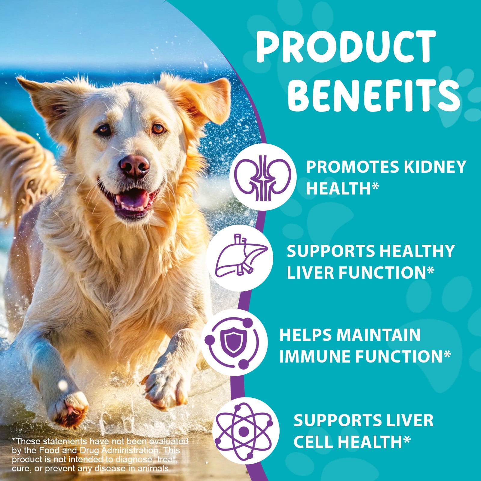 Petpya Milk Thistle for Dogs 3PC Organic Liver Support, Detox & Kidney with Antioxidants & Silymarins, Boost Immunity 60ML