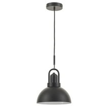 Dainolite 1 Light Pendant in Matte Black