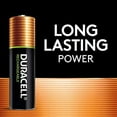 thumbnail image 2 of Duracell Rechargeable NiMH Batteries with Duralock Power Preserve Technology, AA, 4/Pk, 2 of 4