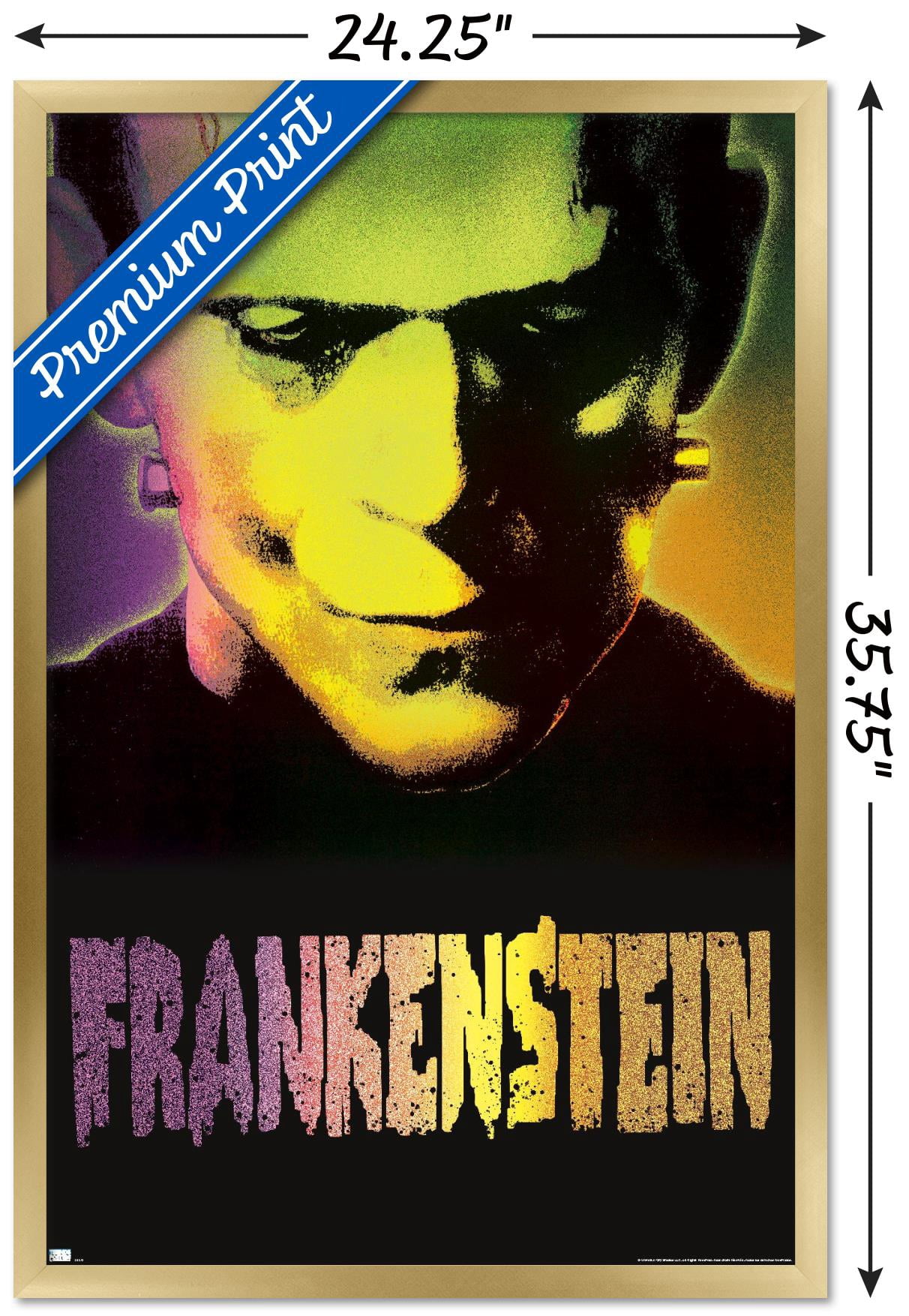 Frankenstein - Close-Up Wall Poster, 22.375" x 34" Framed