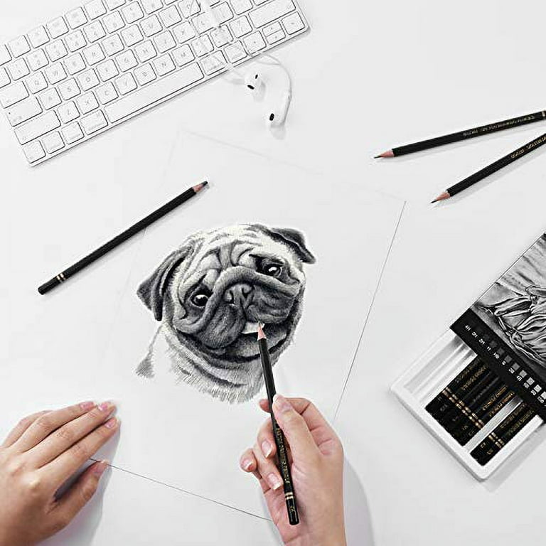 18pcs Pen Charcoal Sketch Set Sketching Pencil Set Roll Up Canvas Carr –  Mendon Cottage Books