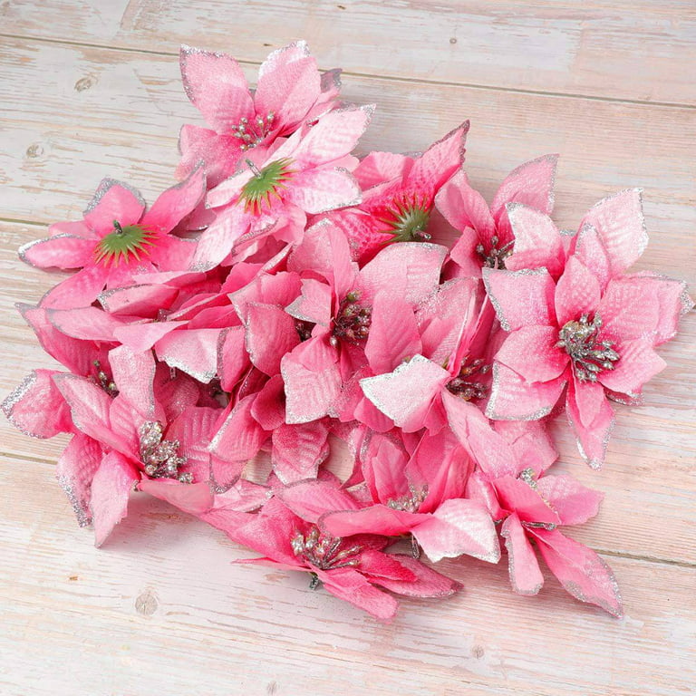 17+ Silk Pink Poinsettia Plants