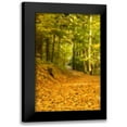 thumbnail image 1 of Murdock, Ramona 13x18 Black Modern Framed Museum Art Print Titled - Forest Path, 1 of 5