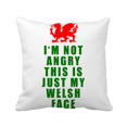 thumbnail image 1 of Welsh Face Emotional Culture Throw Pillow Sleeping Sofa Cushion Cover, 1 of 3