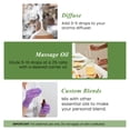 thumbnail image 5 of Handcraft Blends Rosemary Essential Oil - Huge 4 Fl Oz - 100% Pure and Natural - Premium Grade with Glass Dropper, 5 of 7
