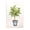 Citrus Serenade Lemon Plant, variant on Stupell Industries Farmhouse Citrus Tree Serenade Canvas Art, 16 x 24, by Andrea Haase