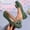 Green, variant on Women Shoes Women's Flats Slip On Loafers for Women Wide Width Comfortable Ballet Flats Soft Fabric Round Toe Women Shoes Casual Dress Solid Color Metal Bow Decor Flat Shoes Black Flats Daily Walking