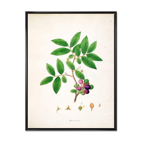Designart 'Ancient London Plants XI' Farmhouse Framed Canvas Wall Art Print