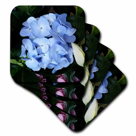 

Blue Hydrangea set of 4 Coasters - Soft cst-40837-1