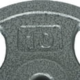 thumbnail image 3 of GoZone Grip Weight Plate – Silver, 3 of 3
