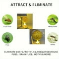 thumbnail image 7 of Bug Repellent Indoor Catching Trap with USB Light Source and Strong Adhesive Bottom, 7 of 7