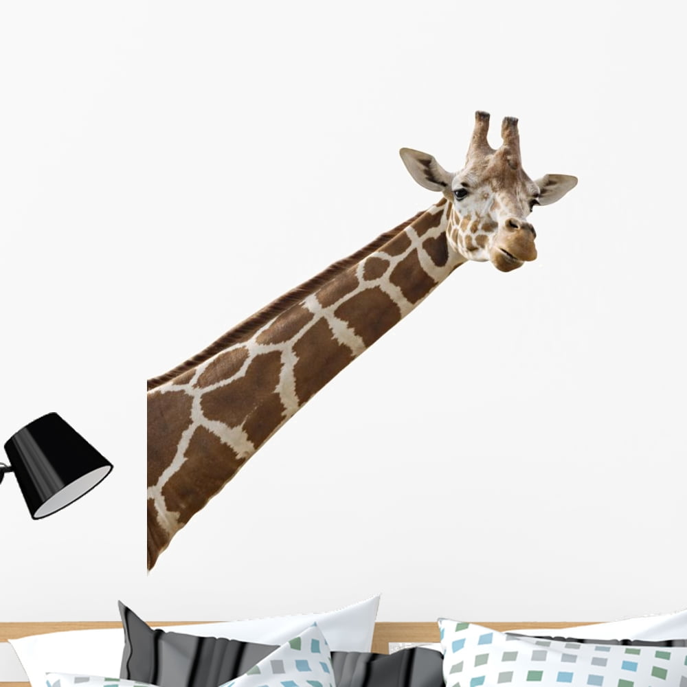 Photo Giraffes Neck and Wall Decal Sticker, Wallmonkeys Peel & Stick