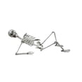 thumbnail image 2 of Esqueleto de Halloween SCZ Simulación Humano 70 cm Decoración, 2 of 5