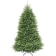 thumbnail image 1 of Árbol de Navidad Abeto Dunhill 7 pies Artificial con 2144 puntas y Soporte Fácil Instalación y Desmontaje National Tree Company KW7-500-902, 1 of 2