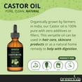 thumbnail image 6 of Organically Grown Castor Oil Pure Cold Pressed with Eyelash Applicator - Hexane Free, 6 of 7