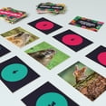 thumbnail image 5 of Crated With Love: Stranded In Love: Ecuador - A Jungle Themed Survival Date Night Board Game, 4 Two-Player Games, 5 of 8