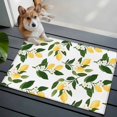 thumbnail image 3 of Lemons Leaves Entryway Rug 2'x3'&nbsp; Non Slip Front Door Mats, Summer Fruits Floral Botanical Entrance Rugs Indoor Outdoor Carpet, Washable Floor Mats Small Area Rug for Bedroom Kitchen, 3 of 8