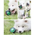 thumbnail image 4 of Pet Toy Dog Bite Resistant Ball Elastic Luminous Ball Pet Toy, 4 of 5