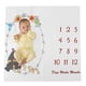 thumbnail image 5 of Alfombra de juego para bebé, manta de hito mensual, manta de hito mensual, tapete de calendario para bebé, grado profesional, 5 of 12