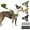 Green, variant on TSYKHAIA No Pull Dog Harness and Leash Set - Adjustable Vest with Soft Padding, Reflective Escape-Proof for Easy Walking and Training