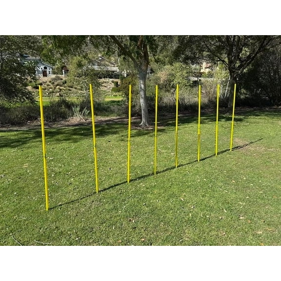 BlueDot Soccer Agility Poles | 6ft Collapsible Training Poles (8pc) for Speed, Agility, Outdoor Games & Exercise Soccer Training Equipment for Turf, Field, Court – with Metal Ground Spikes