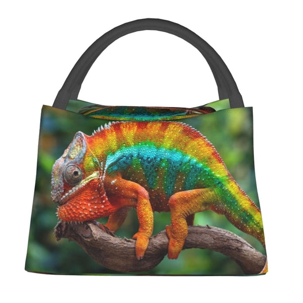 Fotbe Chameleon Bolsa Térmica Portátil con Estampado, Bolsa de Entrega de Alimentos Aislada, Bolsa Reutilizable de Gran Capacidad para Comidas y Supermercado