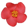 thumbnail image 4 of 50 Uds. De espuma de papel Hula Girl, colores de hibisco, flores surtidas, Lei, isla hawaiana, tema de selva tropical para disfraz, recuerdos de fiesta de cumpleaños, 4 of 5