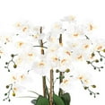 thumbnail image 6 of Vanity Art 27.95" H Phalaenopsis Orchids Floral Arrangement in Bamboo Woven Pot, 6 of 7