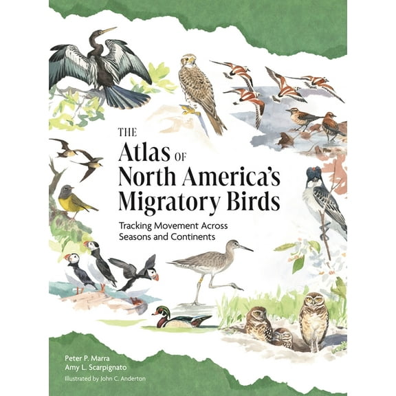 The Atlas of North America's Migratory Birds: Tracking Movement Across Seasons and Continents, (Hardcover)