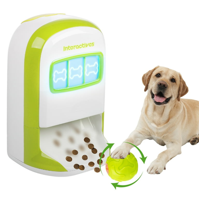 All 4 paws dog on sale training