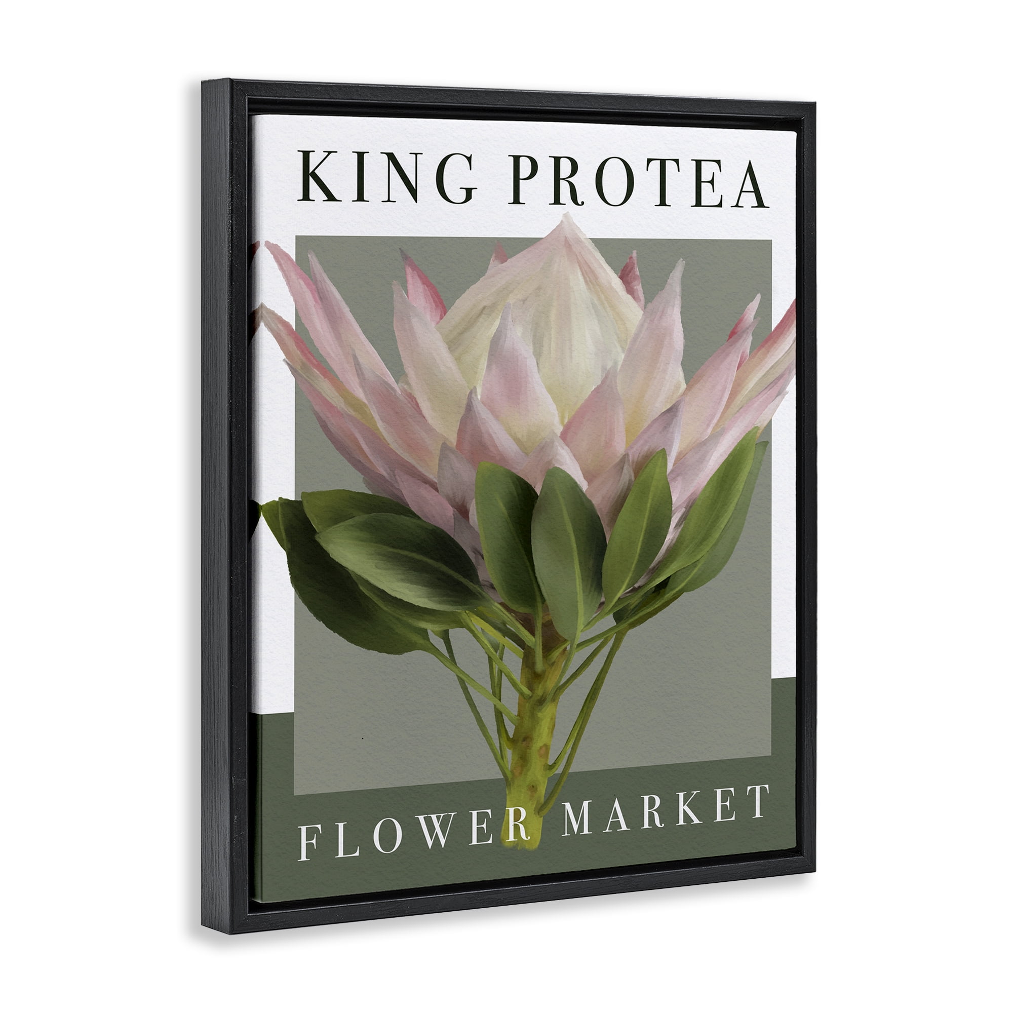 Stupell Industries King Protea Flower Market Black Framed Floater Canvas Wall Art, design by Jennifer Stith