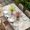 Beige, variant on Gnomes Easter Table Cloths for 5 Foot Rectangle Tables, Colorful Spring Floral Weeping Eggs Rustic Patio Waterproof Elastic Fitted Tablecloths, Washable Rectangular Table Cover for Camping