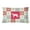 White Devon Rex Cat, variant on 12 x 3 x 16 in. Devon Rex Cat Love Canvas Fabric Decorative Pillow