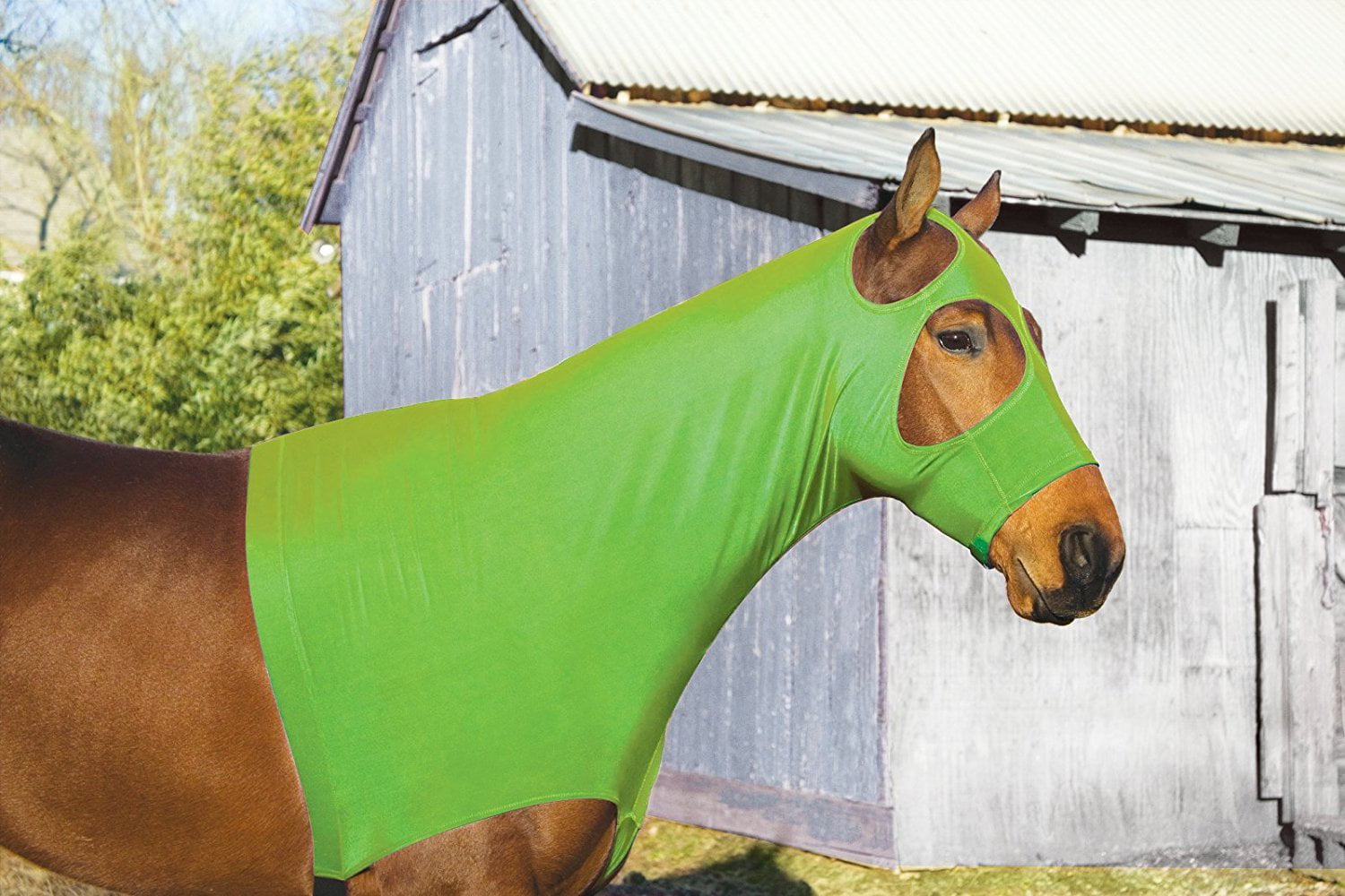 Lycra horse hood  fluorescent green 