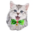 thumbnail image 2 of Pajarita Pajarita Navidad Mascota Gato Gato con artículos para mascotas, 2 of 4