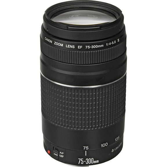 Canon EF 75-300mm F/4-5.6 III Telephoto Zoom Lens 6473A003 Deluxe Combo(International Model)