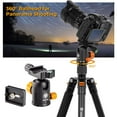 thumbnail image 2 of TARION Camera Tripod Monopod 61in with Panorama Ball Head Aluminium Travel Tripod for DSLR Mirrorless Cameras Support Macro Shots Counter Weight 13lb Payload Lightweight 16.9" Foldable Size, 2 of 8