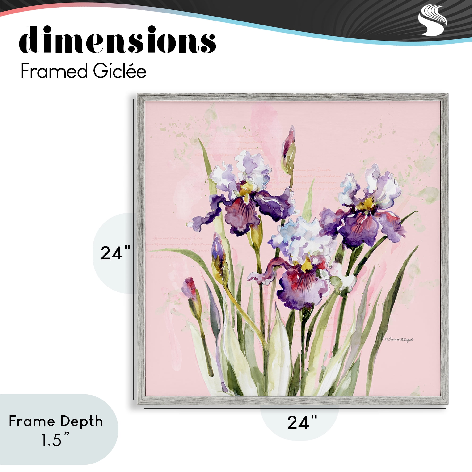 Stupell Industries Purple Irises on Pink Gray Framed Giclee Art, design by Susan Winget