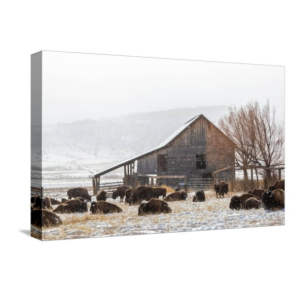 Art.com Colorado-59 Stretched Canvas Print Wall Art by Jeff Poe, 18" x 12"