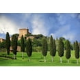 thumbnail image 2 of Flaherty, Dennis 18x13 White Modern Wood Framed Museum Art Print Titled - Italy, Tuscany A villa near the town of Pienza, 2 of 4