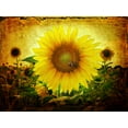 thumbnail image 1 of Sunflowers - CANVAS OR FINE PRINT WALL ART, 1 of 1