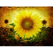 Sunflowers - CANVAS OR FINE PRINT WALL ART