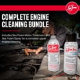 thumbnail image 2 of Sea Foam SEASF-SS Pour & Spray Combo Pack - Pack of 6, 2 of 6