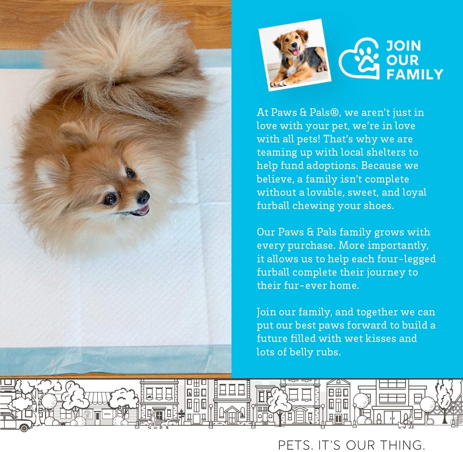 Leak-Proof Potty Training Pee Pads for Dogs and Puppies, Large