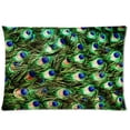 thumbnail image 1 of BSDHOME Tropical Natural Peacock Tail Texture Pillow Cases 20x30 inches Two Sides Print, 1 of 1