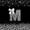Black M, variant on meiyoeat Leopard Print Bow E Initial Twin Quilt Set for Women, Sparkly Glitter Monogram Twin Coverlet Set, Black Silver, 2pcs