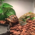 thumbnail image 4 of LLDYYDS Reptile Hides and Caves Rock Reptile Hideout Terrarium Habitat DÃ©cor for Bearded Dragon Lizards Ball Python Snakes One Size, 4 of 5