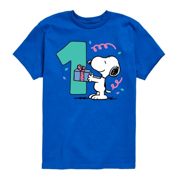 Peanuts - Snoopy and Friends Birthday Toddler and Youth Short Sleeve Graphic T-Shirt, Size 2T-Youth Xl